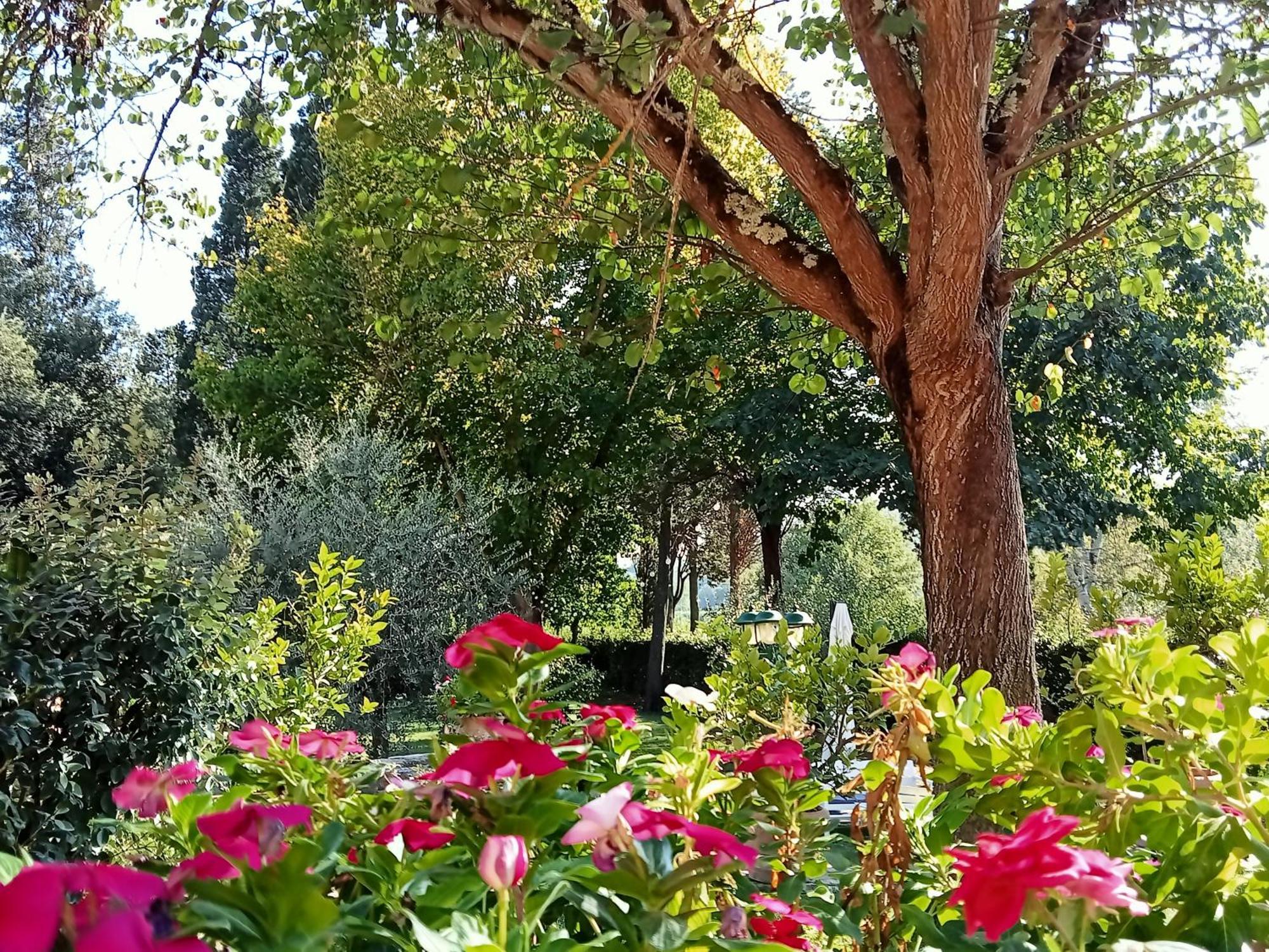 B&B Podere Di Sotto Montelupo Fiorentino Exterior photo